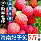 青舞顺丰/京东快递 新鲜海南妃子笑荔枝 孕妇水果5斤3斤增城味桂茂名 精选装3斤