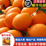 逮果正宗重庆奉节脐橙纽荷尔现摘现发礼盒装时令新鲜孕妇水果冰糖橙子 【顺丰】特级果20斤礼盒装/单果80mm+