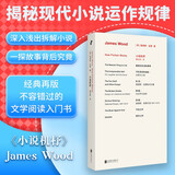 詹姆斯·伍德系列：小说机杼