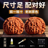 蔓笙文玩核桃矮桩高抛四座楼狮子头把玩手把官帽麻核桃古玩盘玩手串男 原色四座楼35-36mm