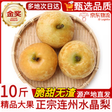 千封 正宗广东连州潭岭水晶梨翠冠梨【JD速运-隔日达】黄金梨子礼盒装 5斤大果【精美礼盒装】