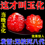 SNQP文玩上色专用包浆玉化油核桃玉竹手串葫芦快速玉化保养专用防裂油 核桃菩提上色【单瓶装】