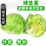 【顺丰】羽衣甘蓝 新鲜沙拉菜 都市健康轻食蔬菜 球生菜500g