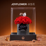 JoyFlower永生玫瑰花布朗熊可妮兔花桶生日礼物结婚纪念日送女生朋友老婆