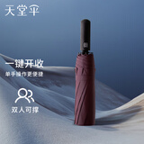 天堂伞强效拒水雨伞防风加固十骨大伞三折便携商务雨伞男女士 深栗红-10骨自动款