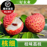 黄忠文广西荔枝树苗无核荔枝苗 妃子笑嫁接荔枝苗木桂味荔枝苗盆栽庭院 4年桂味荔枝苗（高80-110cm）