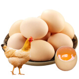 储山新鲜鸡蛋农家初生蛋生鲜谷物虫草鸡蛋笨鸡蛋 40枚