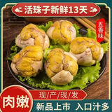活珠子13天五香味麻辣味毛鸡蛋活珠蛋新鲜鸡胚蛋熟食美味活珠子 【五香】活珠子 10枚
