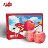 洛川苹果 青怡陕西红富士净重2.75kg 单果210g起 新鲜水果礼盒