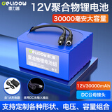德力普（Delipow）12v锂电池组聚合物移动电源大容量带显示屏24V可充电户外音响/太阳能路灯/监控设备/防蜂服led灯等 12V30000mAh【DC线】送充电器