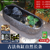 宠小帅古法金鱼缸新款生态浅缸陶瓷办公室桌面仿石头水培池养鱼古法鱼缸 自然长条+溪流石+青龙石+碗莲（加营养液）