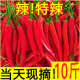 柏馋小米辣椒新鲜农家自种小米椒特辣超辣薄皮土红辣椒指天椒现摘 小米椒 1斤0.8斤