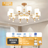 斯迈欧灯具现代轻奢欧式吊灯客厅灯网红2026年新款餐厅主灯全屋套餐组合 高亮大灯珠-金-10头-单色白光
