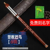 BAILINGNIAO百灵鸟巴乌胶木树脂C调仿红木小学成人初学民族吹奏乐器横吹巴乌 圆嘴 竖吹 G调 巴乌+书