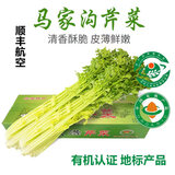 嗯嗯乐山东青岛特产正宗马家沟空心芹菜有机嫩芯大黄叶精品菜芯 优质芹菜4斤礼盒装
