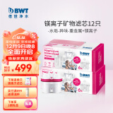 倍世（BWT） 第4代镁离子活力款滤芯 德国技术欧洲原装进口 过滤净水器家用滤水壶净水杯净水壶用 推荐12只装