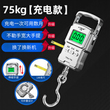 千确高精度手提式电子秤小型精准快递买菜小秤便携式家用钩商用吊勾弹簧随身学生行李称手提婴儿体重秤 【绿屏】充电款-带卷尺送充电线75kg10g