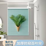 家优优卫生间窗帘百叶帘浴室厕所窗户遮挡帘隐私遮光帘卷帘卷拉式免打孔 小绿植   防水防霉