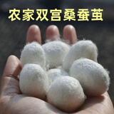 天然烘干完整带蚕蛹桑蚕茧抽丝手工彩绘展示蚕茧壳桑蚕丝团扇蚕茧 【一斤】双宫干蚕茧