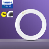飞利浦环形灯管荧光节能环管TL5C荧光灯日光灯吸顶灯管替换光源四针 T8粗管 22W 6500K白光