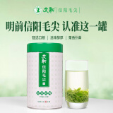 文新绿茶好茶好喝信阳毛尖特级200g2024年明前罐装新茶上市