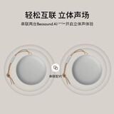 B&O Beosound A1 Gen2 便携式无线蓝牙音响 桌面室内低音炮音箱  雾灰色