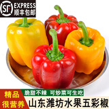 鑫果滋【顺丰】新鲜彩椒生吃水果椒 山东红黄甜椒笼椒圆椒太空椒甜辣椒 五彩椒5斤（红黄精品果）