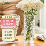 吕姆克花瓶玻璃简约摆件富贵竹大号高花瓶水培容器直筒冰纹瓶高30cm5622