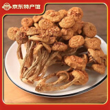菌初西峡花菇干货特产级 干香菇干货批发 南北干货菌菇礼盒 滑子菇500g