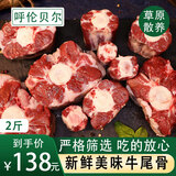 鲜羊官 新鲜牛尾骨 整根原切煲汤滋补 火锅食材 草饲牛肉 清真 牛尾骨1kg