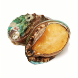 鲜京采 鲜活鲍鱼仔1只（单只18g起）海鲜贝壳活鲜