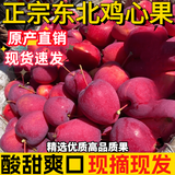 菓灵稥【现货】东北鸡心果小苹果锦绣海棠果沙果新鲜水果甜脆 3斤中果 试吃尝鲜装 商超品质