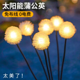 乐卡利 太阳能草坪灯庭院户外led感应照明路灯农村院子地插萤火虫景观灯 加大蒲公英【6头 1个装】