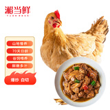 湘当鲜仔鸡1.8斤 冷冻 童子鸡 农家土鸡 烧鸡炸鸡食材 