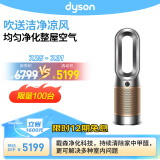 戴森DYSON HP09 多功能空气净化 兼具暖风扇 除螨除尘除过敏原 过滤花粉 宠物毛发整屋净化  黑金色