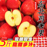 菓灵稥【现货】东北鸡心果小苹果锦绣海棠果沙果新鲜水果甜脆 5斤特大果 送礼佳选 商超品质