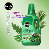 美乐棵 天南星科营养液500ML/瓶 绿植盆栽 家庭园艺花肥肥料 园艺种植液 办公室阳台桌面盆栽浓缩营养液