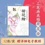 飞乐鸟国画线稿水彩画临摹底稿本上色初学者填色涂色古风人物工笔画白描底稿宣纸零基础手绘画画纸水彩画册本 荷花绘(12张)有电子教程