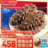 久年大连即食海参1000g20-30只 固形物超80% 冷冻辽刺参 生鲜海鲜礼盒