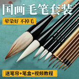 玉水湖国画毛笔套装专用初学者狼毫勾线白描中国画绘画大白云兼毫画水墨画勾线笔工笔画山水画 12支套装