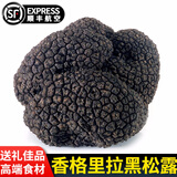 星云湖香格里拉野生黑松露猪拱菌礼盒装高黎贡山白松露米其林高端送礼 新鲜黑松露 直径2-3cm 净重500g