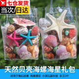 Aseblarm天然海螺贝壳标本摆件海星手工diy工艺品水族箱鱼缸装饰造景套装 1个天然海星250克贝壳海螺+手拎袋