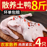 岽鲜 新鲜鸭肉生鲜白条鸭冷冻整只 煲汤食材鸭子肉 鸭子 1000g*4只