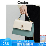 蔻一（Cnoles）包包女士款2025年最新款牛皮女生高端斜挎包通勤大容量单肩包