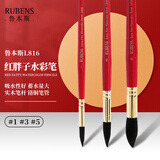 鲁本斯 红胖子灰鼠毛水彩笔水彩适用画笔毛笔尼龙勾线笔美术生专用绘画工具 L816红杆常用3支【1#3#5#】 速写素描