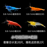 鱼官儿观赏虾工具虾草缸米虾淡水樱花虾水晶虾除藻虾活体水草莫斯 小号观赏虾A套餐