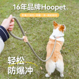 华元宠具（hoopet）狗狗绳子防爆冲P绳P链子牵引绳项圈大型中小型犬狗链防挣脱溜遛狗