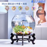 团圆月办公室小鱼缸加厚透明玻璃乌龟缸客厅家用桌面圆形迷你小型金鱼缸 30CM圆球+彩石6件套+底座