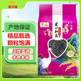 金龙鱼 黑米  五常黑米 东北黑米 2斤新老包装随机发货 五谷杂粮
