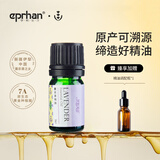 伊帕尔汗薰衣草精油单方精油香薰按摩油身体植物精油精华油  品牌20周年庆 薰衣草精油5ml单方
